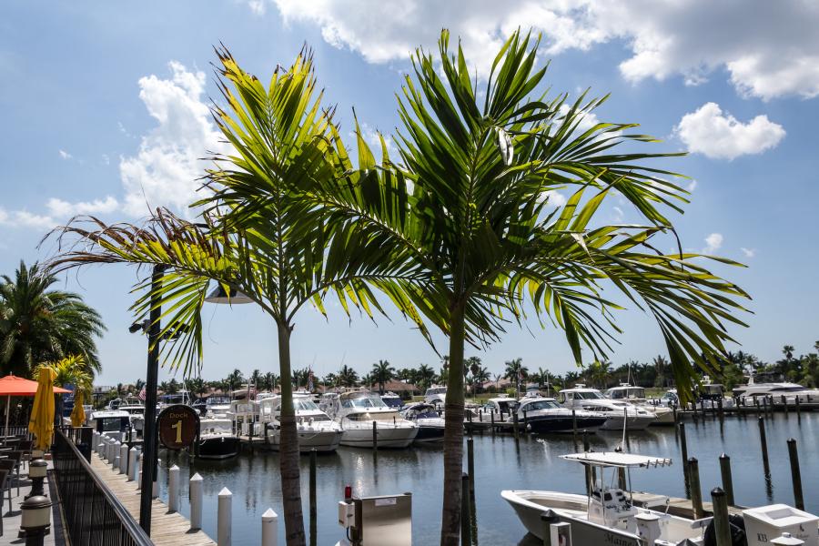 Spend your winter in Cape Coral - Florida - Is Cape Coral a good snowbird location 12