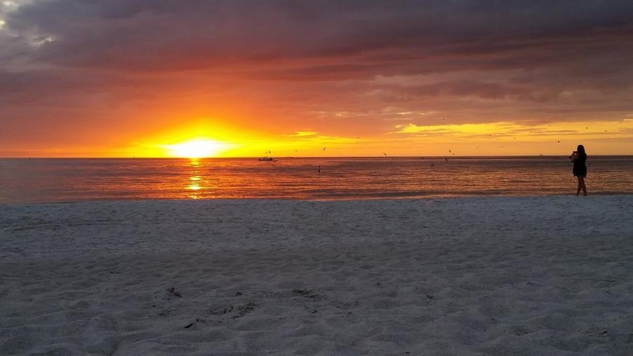 Spend your winter in Madeira Beach - Florida - Is Madeira Beach a good snowbird location 11