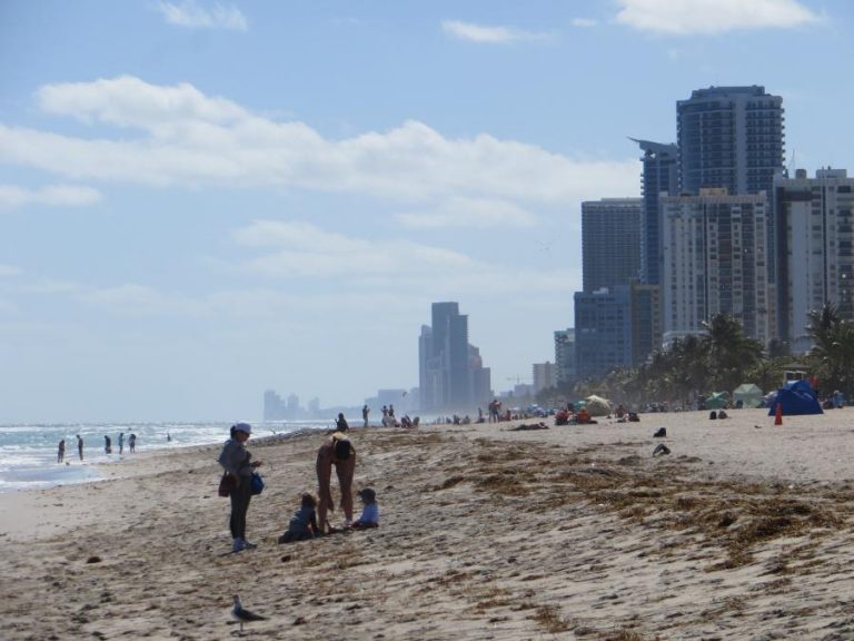 Spend your fall, winter, or spring in Hollywood, Florida: Is Hollywood a good snowbird location?