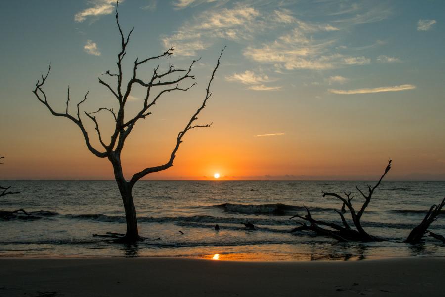 Spend your winter in Jekyll Island - Georgia - Is Jekyll Island a good snowbird location 11