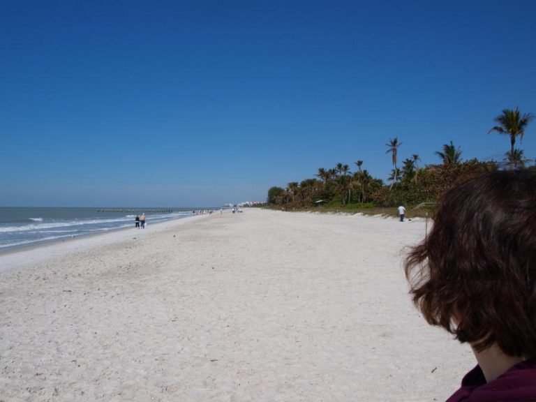 Spend your fall, winter, or spring in Naples, Florida: Is Naples a good snowbird location?
