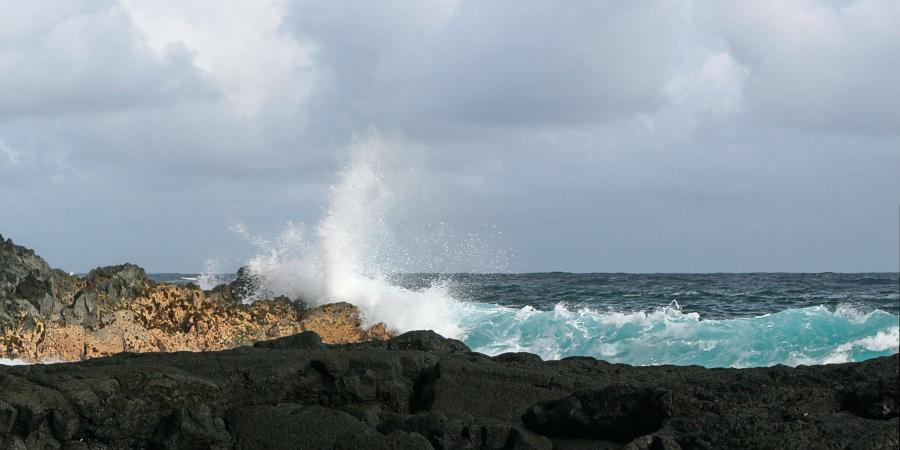 Spend your winter in Pahoa - Hawaii - Is Pahoa a good snowbird location 10