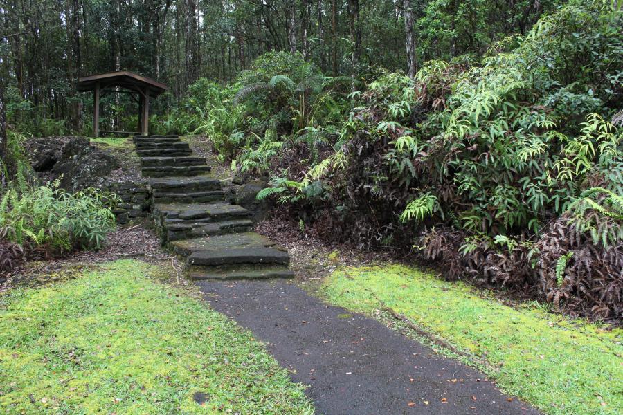 Spend your winter in Pahoa - Hawaii - Is Pahoa a good snowbird location 12