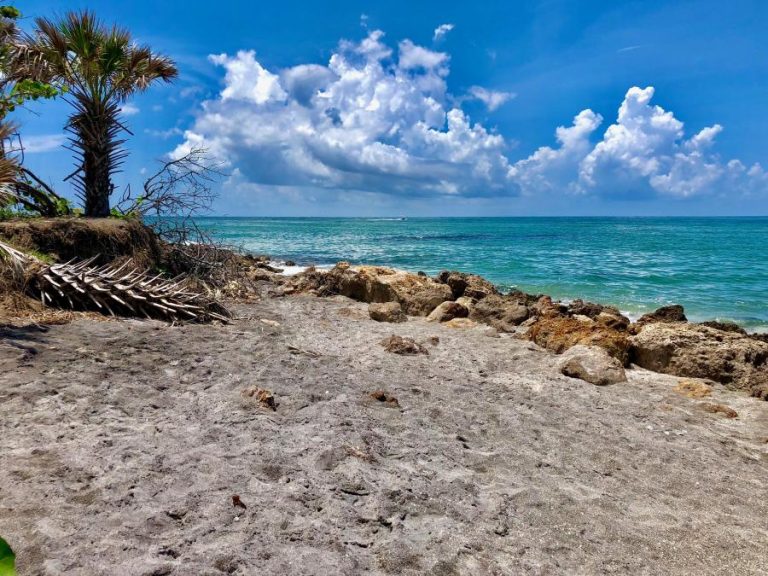 Spend your fall, winter, or spring in Venice, Florida: Is Venice a good snowbird location?
