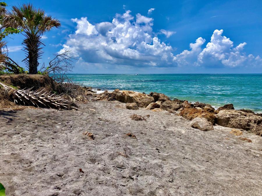 Spend Your Winter In Venice Florida Is Venice A Good Snowbird Location 1