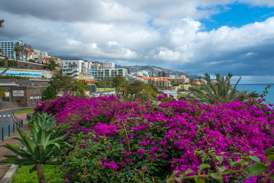 Spend your winter in Funchal - Portugal - Is Funchal a good snowbird location 11