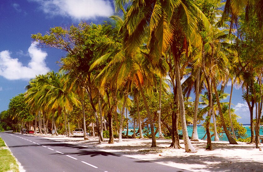 Spend your winter in Guadeloupe - Is Guadeloupe a good snowbird location 10