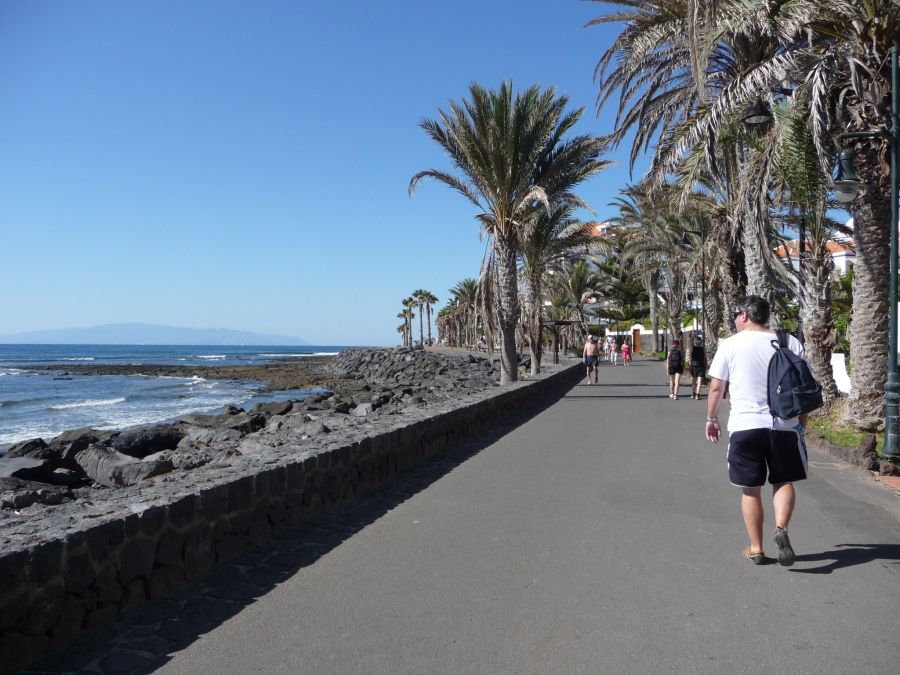 Spend your winter in Playa de las Americas - Tenerife - Is Playa de las Americas a good snowbird location 10