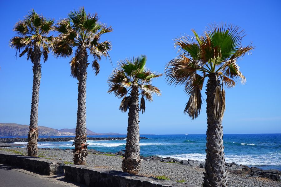 Spend your winter in los cristianos - Tenerife - Is los cristianos a good snowbird location 12