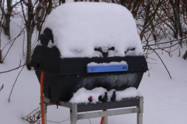 Prepare your Gas Grill for the winter