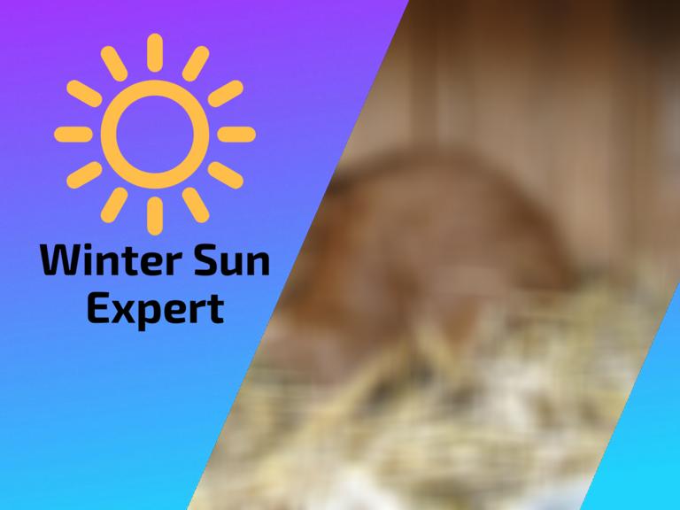 Prepare your Rabbit Hutch for the winter