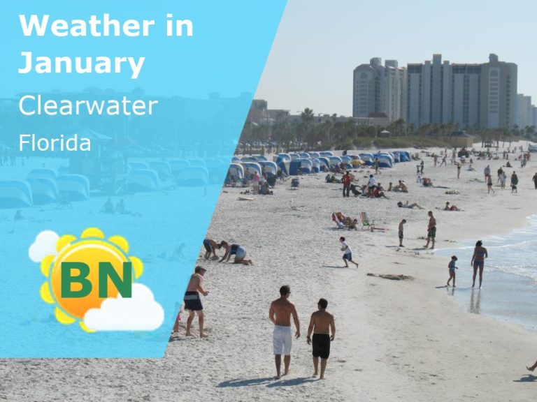 January Weather in Clearwater, Florida - 2024