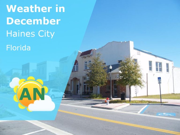 December Weather in Haines City, Florida - 2022