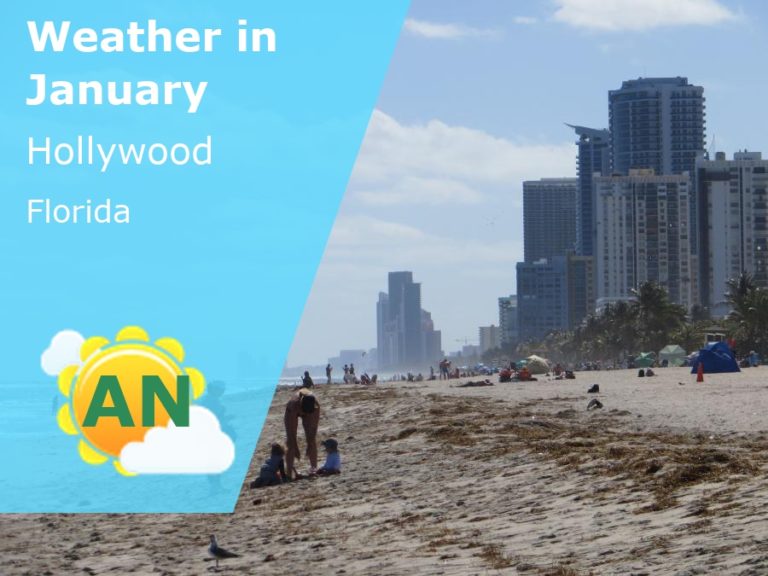 January Weather in Hollywood, Florida - 2023