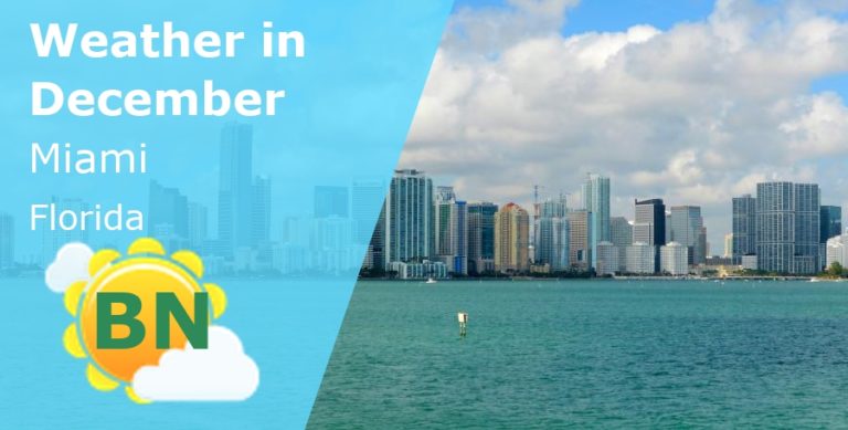 December Weather in Miami, Florida - 2024