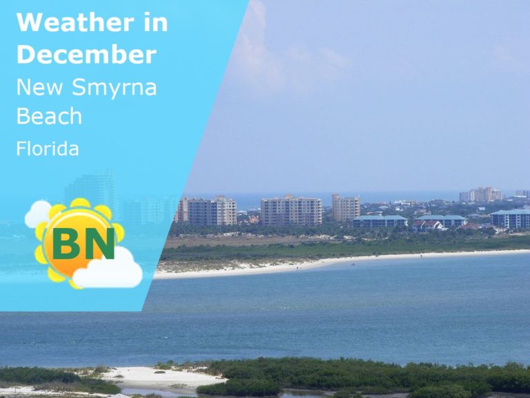 December Weather in New Smyrna Beach, Florida - 2024