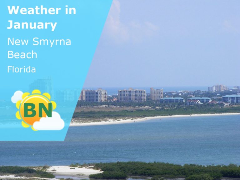 January Weather in New Smyrna Beach, Florida - 2024