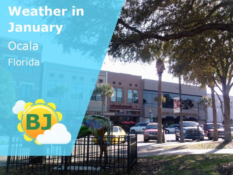 January Weather in Ocala, Florida - 2023