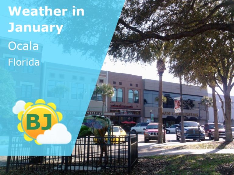 January Weather in Ocala, Florida - 2024