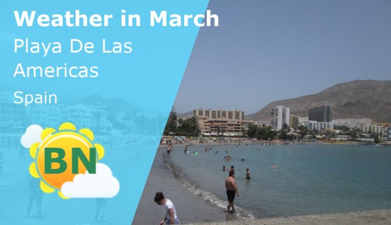 March Weather in Playa De Las Americas, Tenerife - 2026