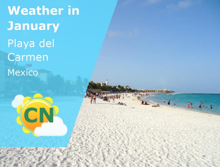 January Weather in Playa del Carmen, Mexico - 2024