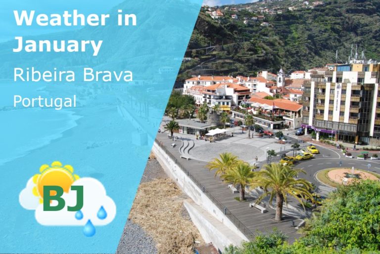 January Weather in Ribeira Brava, Portugal - 2025