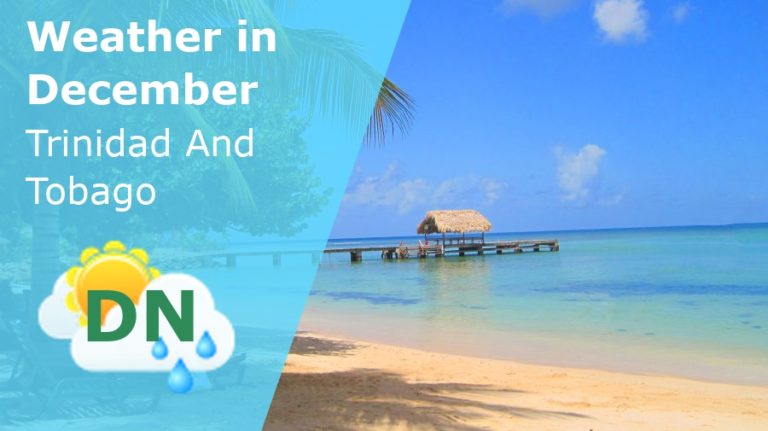 December Weather in Trinidad And Tobago - 2024