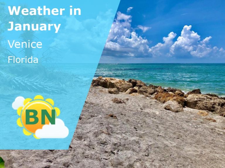 January Weather in Venice, Florida - 2025