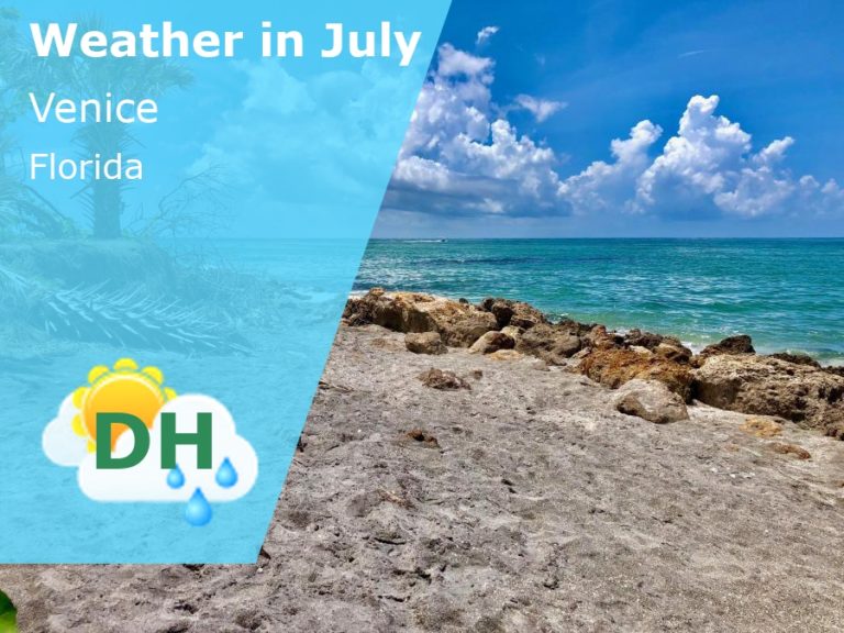 July Weather in Venice, Florida - 2024