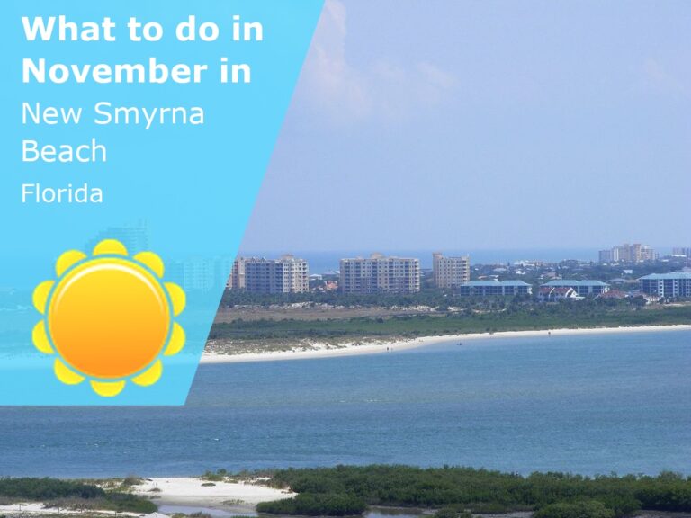 What to do in November in New Smyrna Beach, Florida - 2025