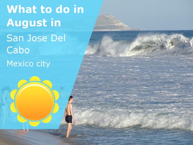 What to do in August in San Jose Del Cabo, Mexico - 2024