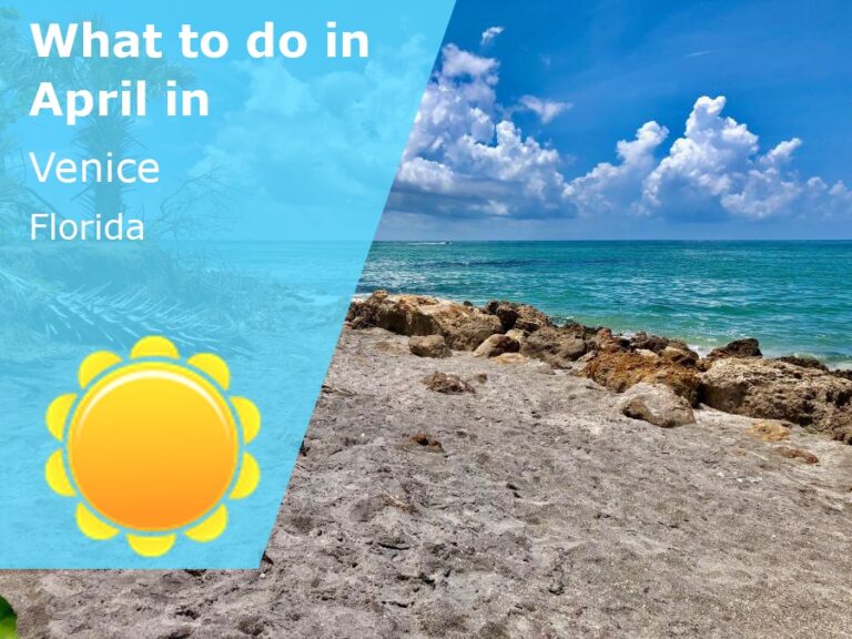 What to do in April in Venice, Florida - 2024