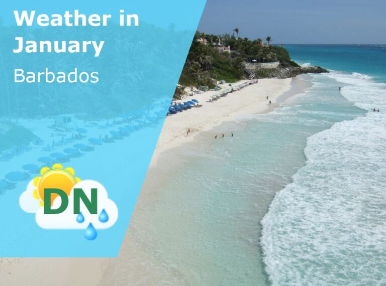 January Weather in Barbados - 2023