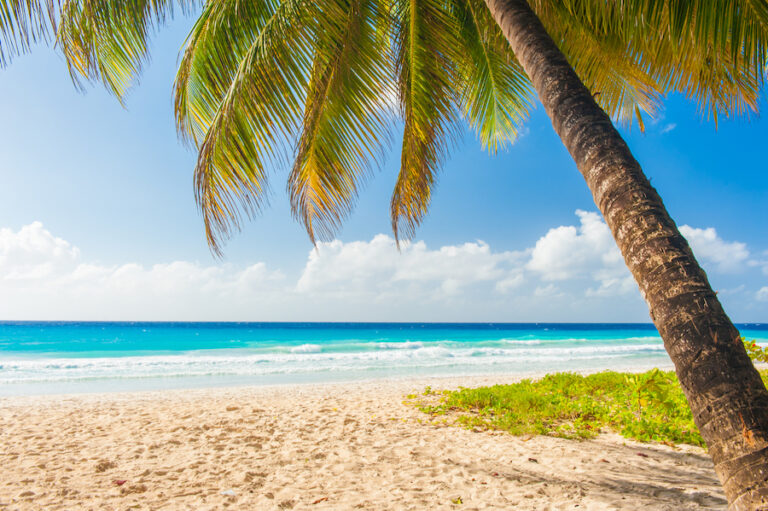 Top 3 Best Caribbean Winter Sun Destinations in December